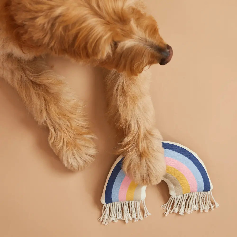 Rainbow Plush Dog Toy