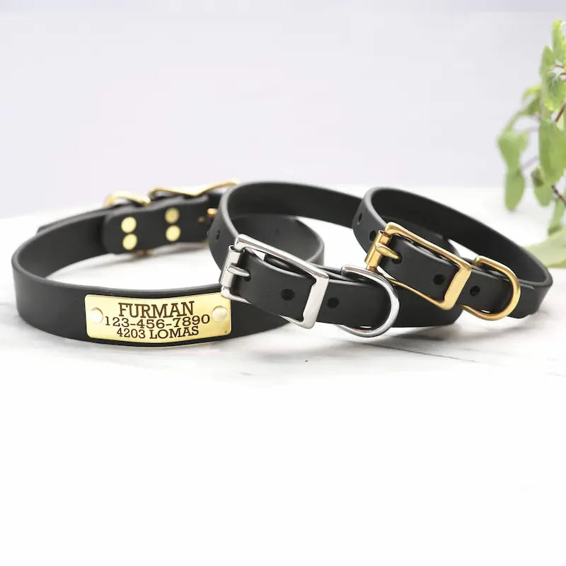 Waterproof Belt Buckle Collar in Black