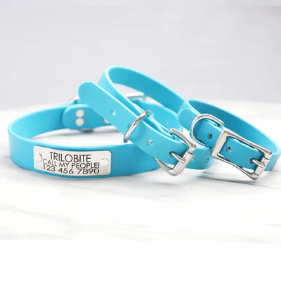 Waterproof Belt Buckle Collar in Cloud Blue