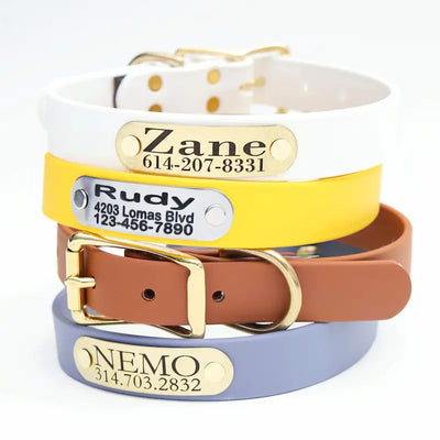 Waterproof Belt Buckle Collar in Gris Grey