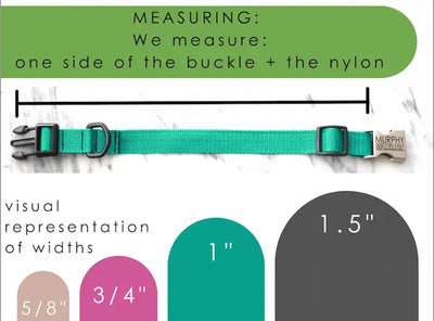 Canvas Collar in Olea