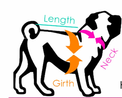 Canvas Harness in Olea