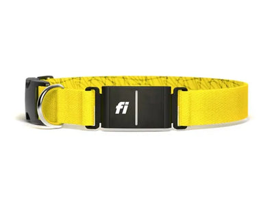 Fi Smart GPS Tracker Dog Collar: Series 3
