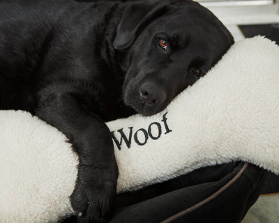 BAILEY BERRY Coussin pour chien Woof