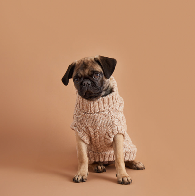 BAILEY BERRY Cuddly Cable Dog Sweater
