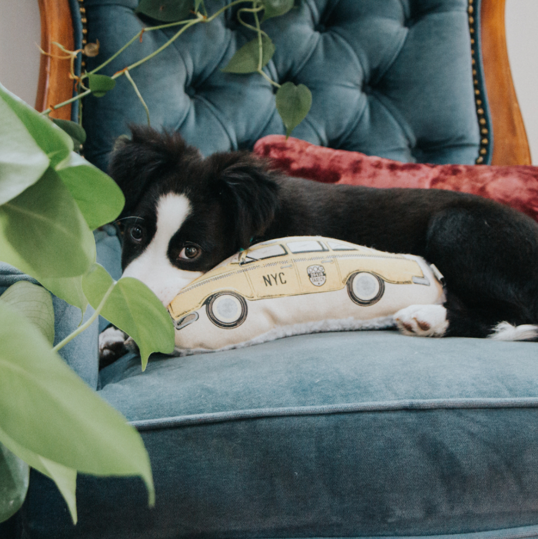 Taxicab Canvas Dog Toy