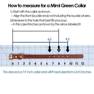 Waterproof Belt Buckle Collar in Bright Green
