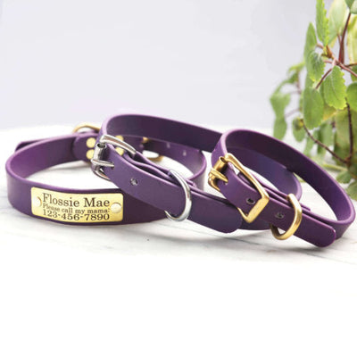 Waterproof Belt Buckle Collar in Pastel Purple